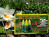 Chế phẩm Hùng Nguyễn (6 trong 1)